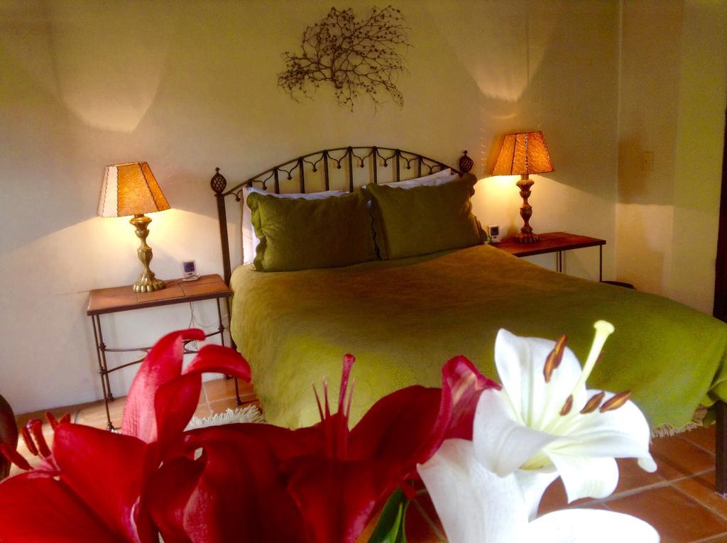 Hotel Secreto Pozos  Bilik gambar