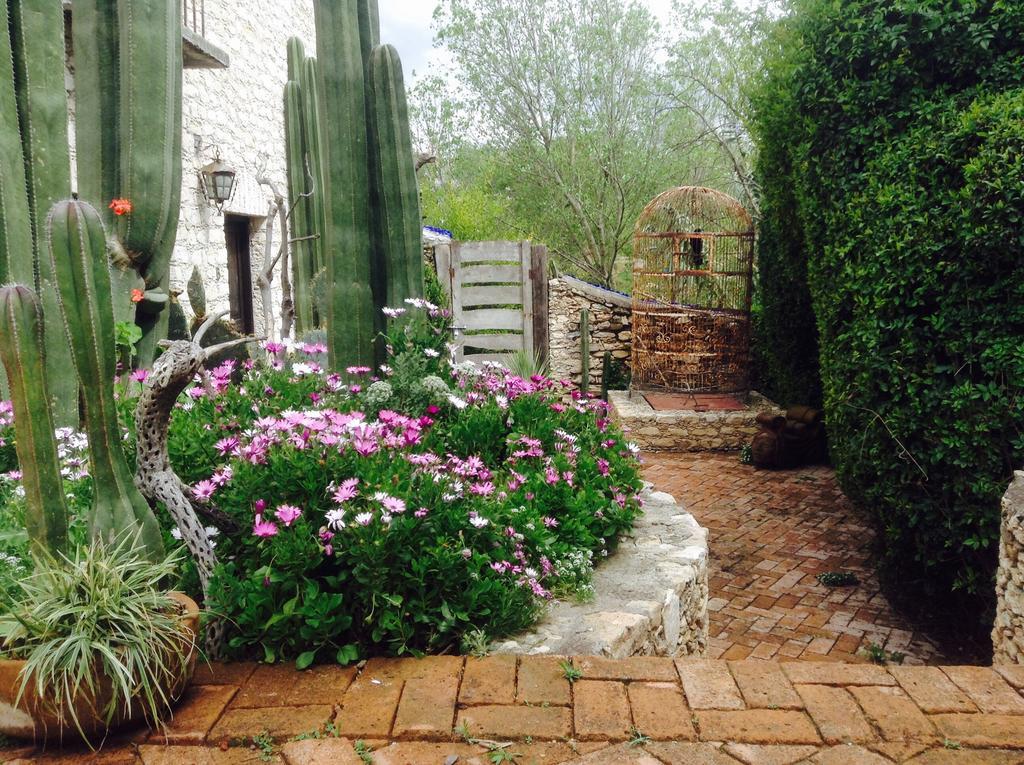 Hotel Secreto Pozos  Luaran gambar